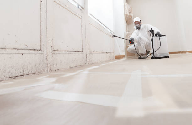 24/7 Emergency Mold Remediation experts in Renton, WA